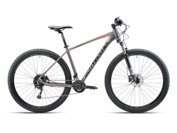 BOTTECCHIA 125